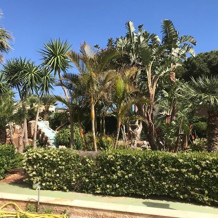 Le Palme Tropicali Appartement San Vito Lo Capo Buitenkant foto