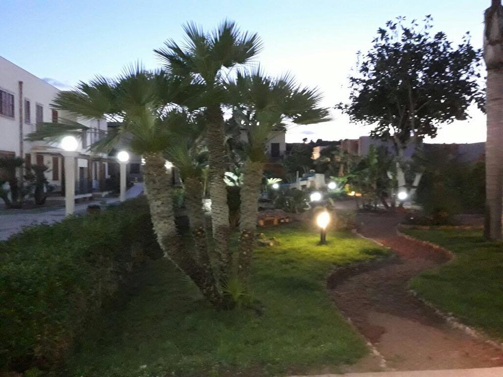 Le Palme Tropicali Appartement San Vito Lo Capo Buitenkant foto